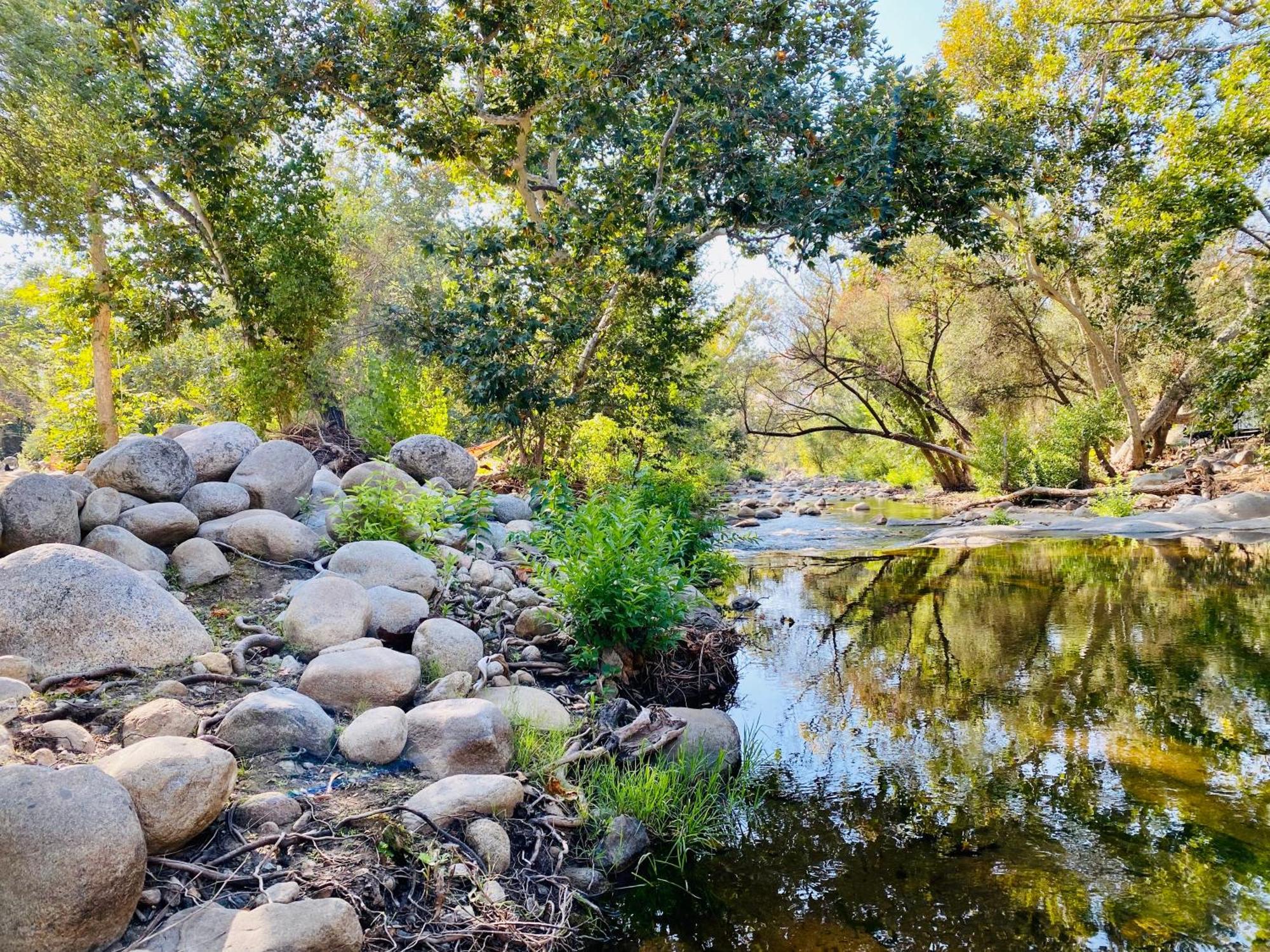 Sequoia Cabin By The River Three Rivers Exterior photo